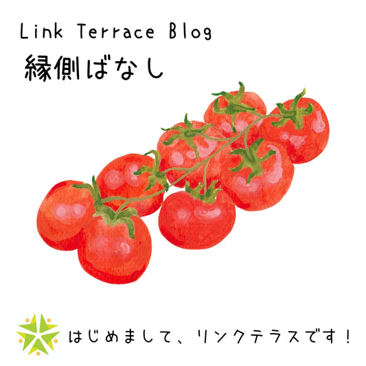リンクテラスのはじまり