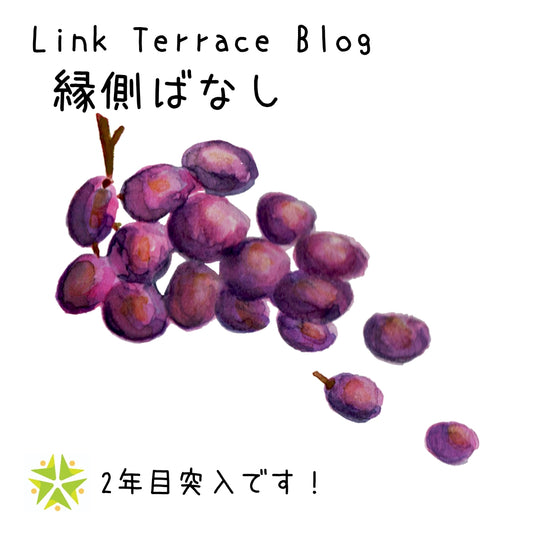 2年目のリンクテラスです!