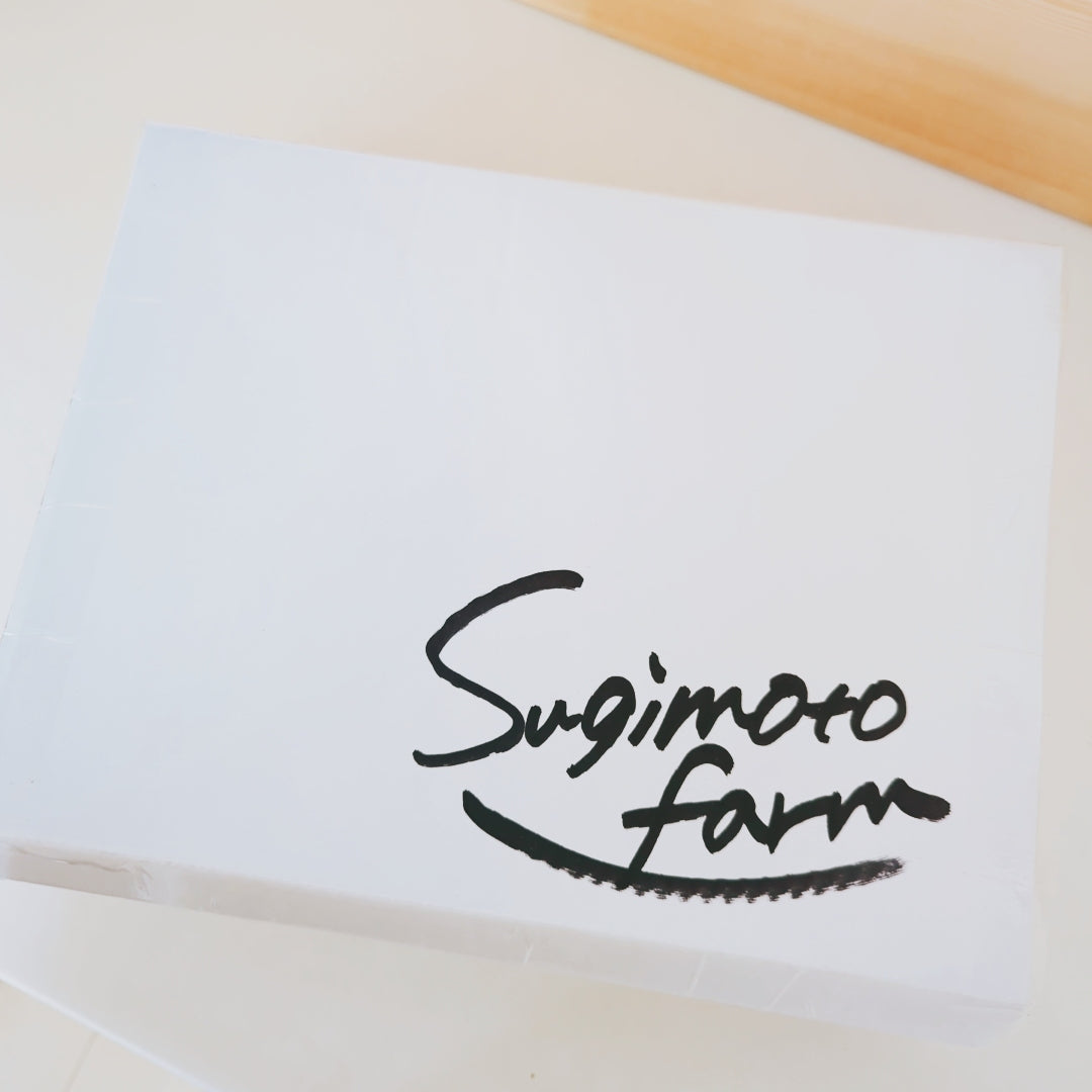 Sugimoto farmからのあま~い贈り物【大粒】さちのかいちご_高知県黒潮町